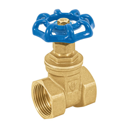 Válvula de compuerta de latón roscable de 1", FOSET 49019