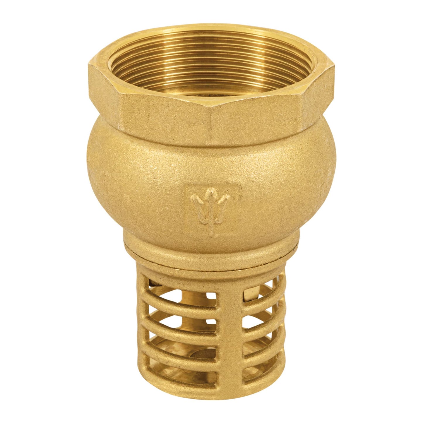 Pichancha con rejilla de latón 2", FOSET 49049