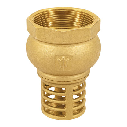 Pichancha con rejilla de latón 2", FOSET 49049