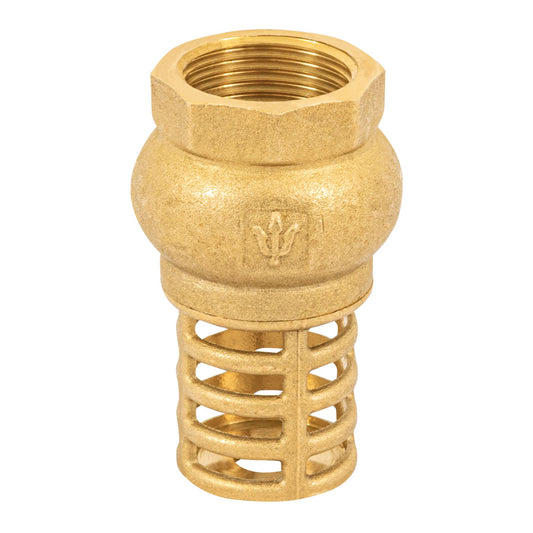 Pichancha con rejilla de latón 3/4", FOSET 49045